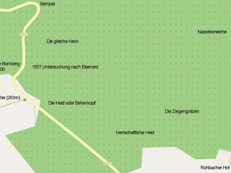 Karte von Selters mit Bornberg und Napoleoneiche